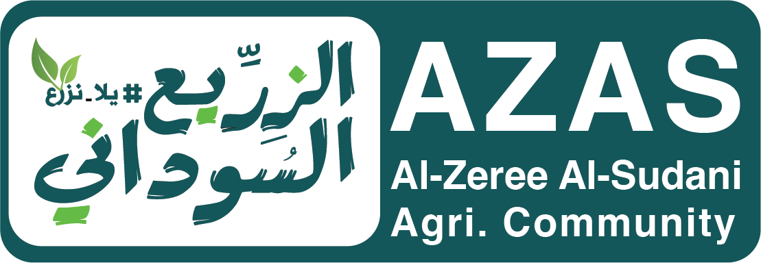 الزريّع السوداني